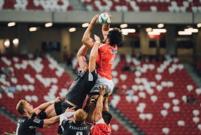 弗朗索瓦·霍尔茨豪伊泽：南非队后场不容忽视的领导者，精准指挥进攻